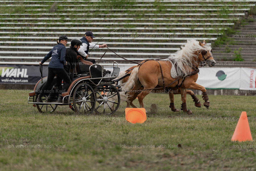 Showprogramm-517 | working equitationturnier fotograf videograf stoibphotography marixx film working equitation deutschland reitsport turnierfotografie eventfotografie equestrian events