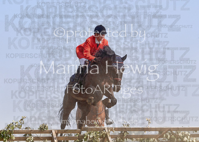 09-23 Jagd Perdöl_MCH0106_Marina Hewig | Fotografie, FotoArt, PferdesportArt, Pferdesportfotografie, Landschaftsfotografie, Reisefotografie, Reise, Pferde - Realisiert mit Pictrs.com