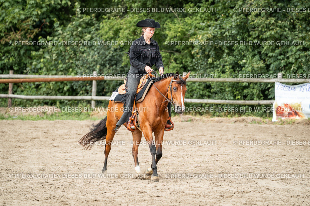 DSC02260 | Pferdegrafie