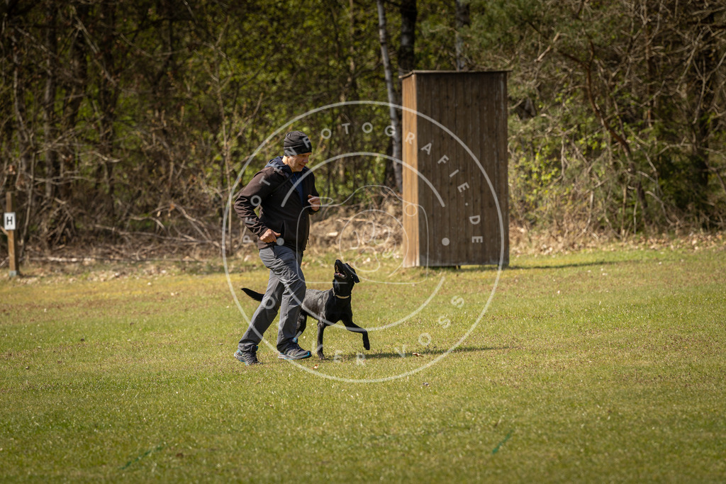 Pfotenfotografie_DV3A1225 | Hundefotografie, Tierfotograf, Pfotenfotografie, Fotoshooting Hund, Hunde Portrait, Hundesport, Hundeportraits, Heideshooting, Hunde, Sportfotograf, Hundefotograf, Turnierhundsport, THS,  - Realisiert mit Pictrs.com