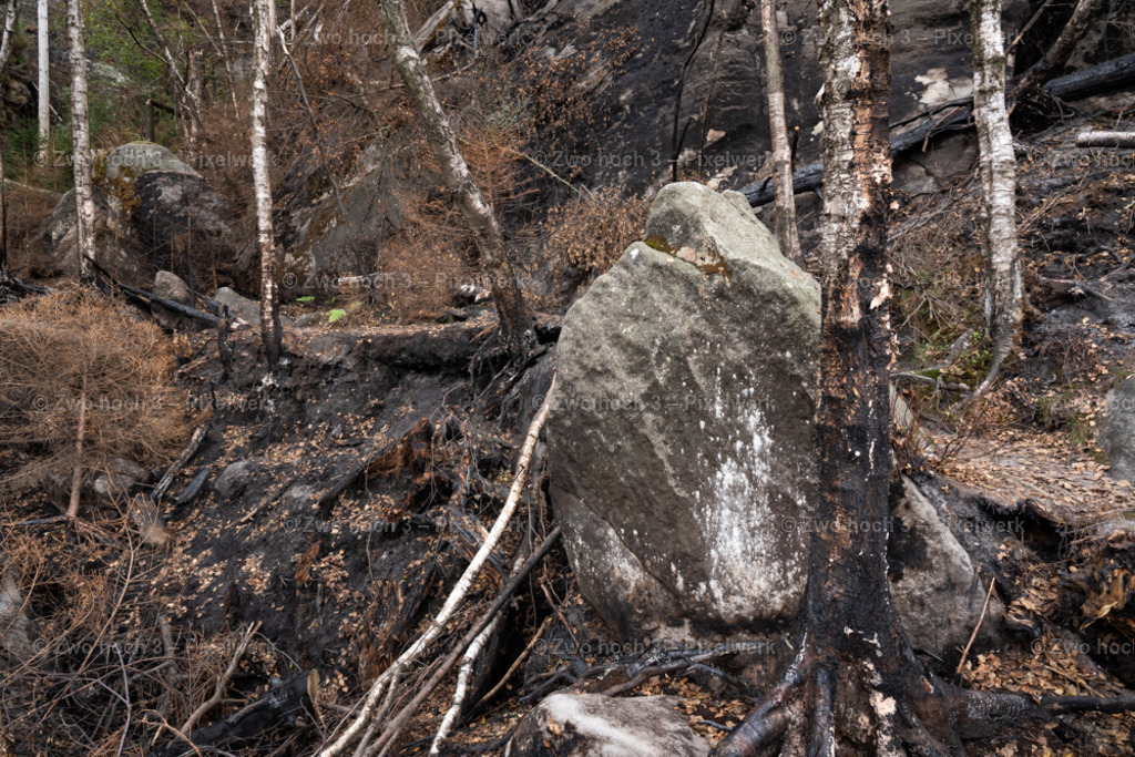 Obere_Affensteinpromenade_Siegfried_Bergfried_Felsblock_Waldbrand | 2022-09-02_Waldbrandgebiete_2 - Realisiert mit Pictrs.com
