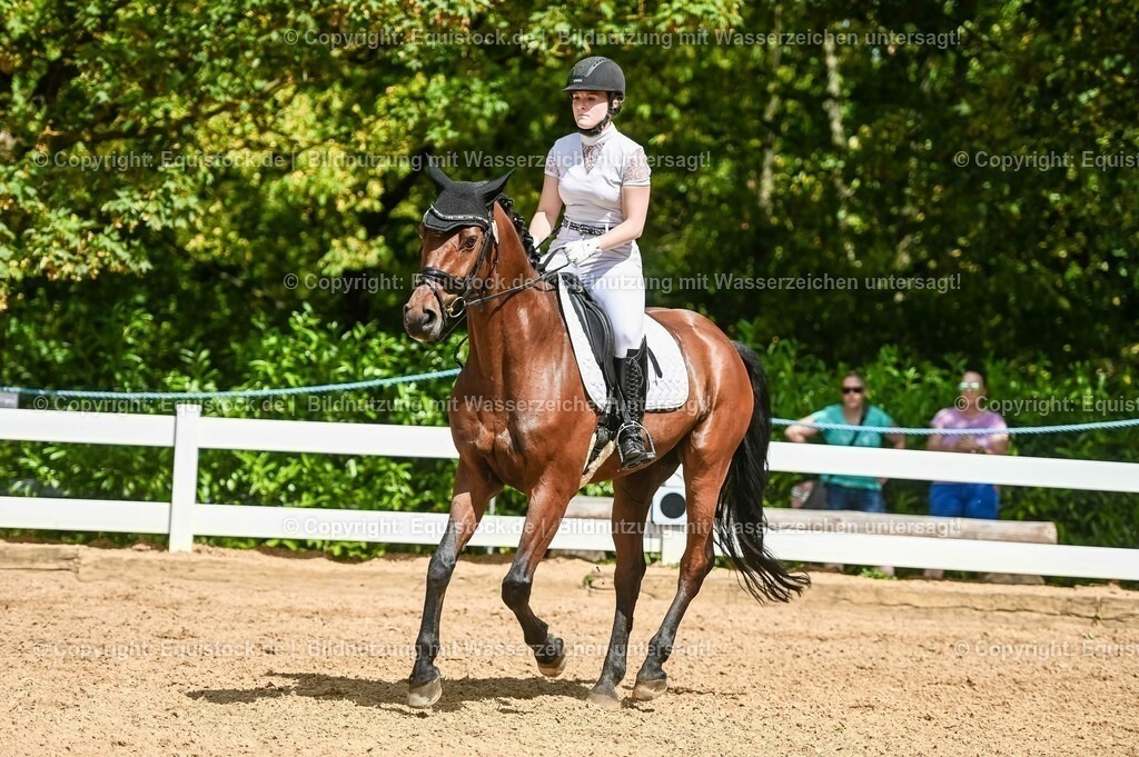 20230715_02_Dressurreiterprüfung Kl.L_0213 | equistock