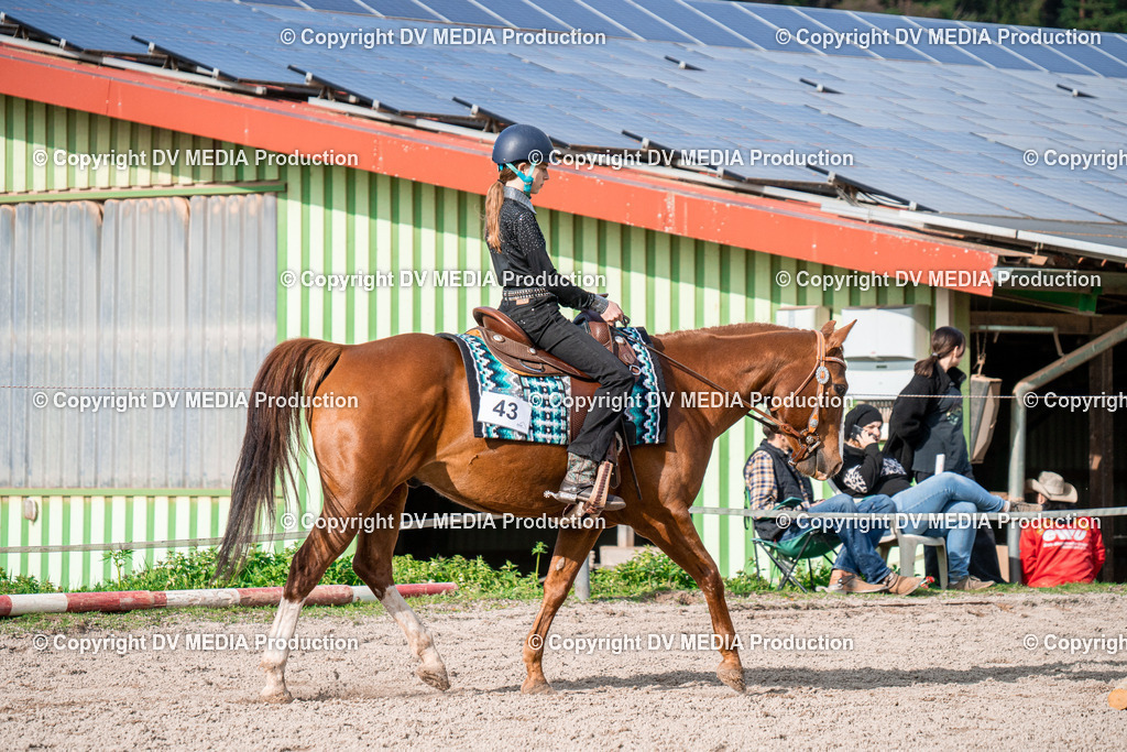 BAL02832 | dv-media-shop - Realisiert mit Pictrs.com