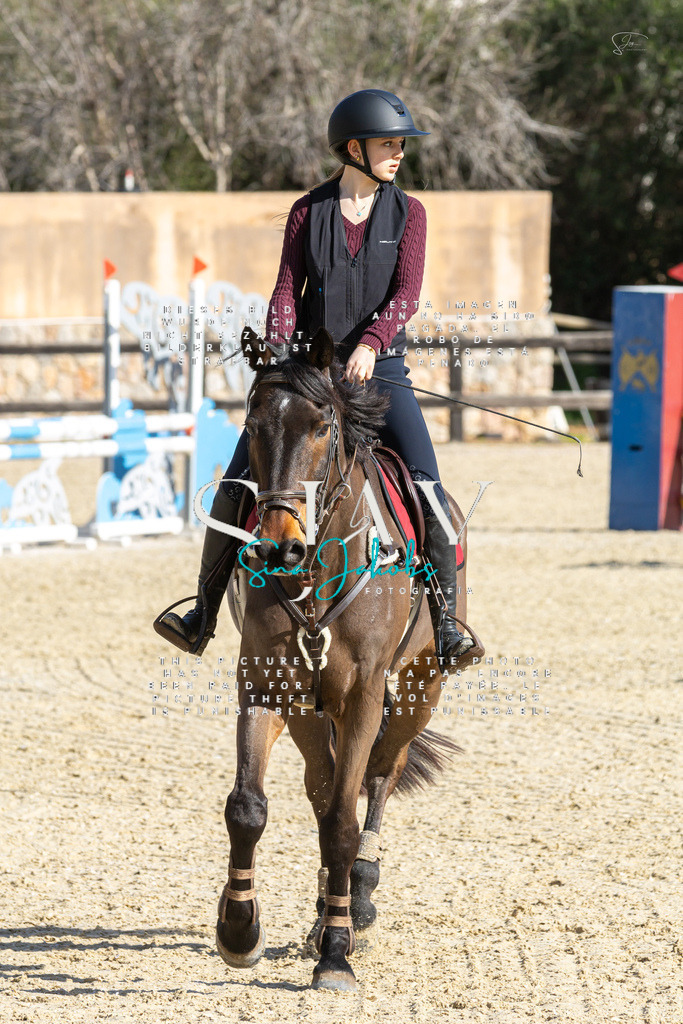 IMG_3884 | s-jay-photography - Realisiert mit Pictrs.com