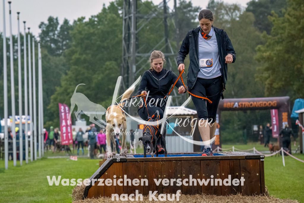 1021--11 | kk-dogfotos