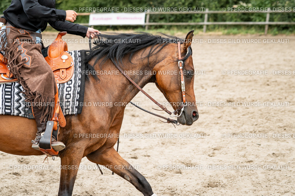 DSC01973 | Pferdegrafie