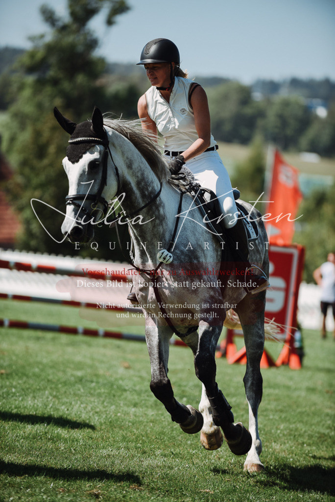 DSC_3262 | Pferde- und Turnierfotografie in Westsachsen. Pferdeportraits, Auftragszeichnungen und intuitive Kunst.