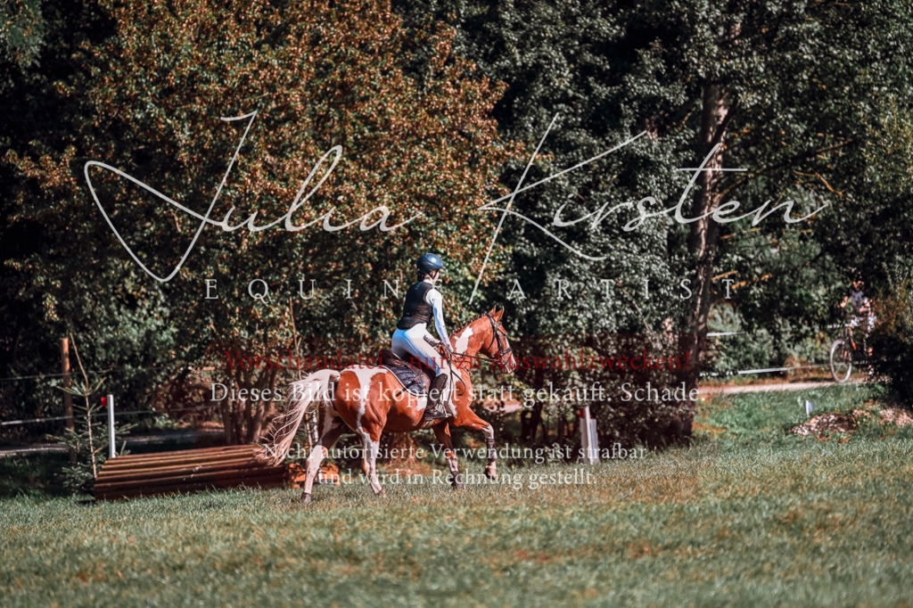 DSC_1029 | Pferde- und Turnierfotografie in Westsachsen. Pferdeportraits, Auftragszeichnungen und intuitive Kunst.