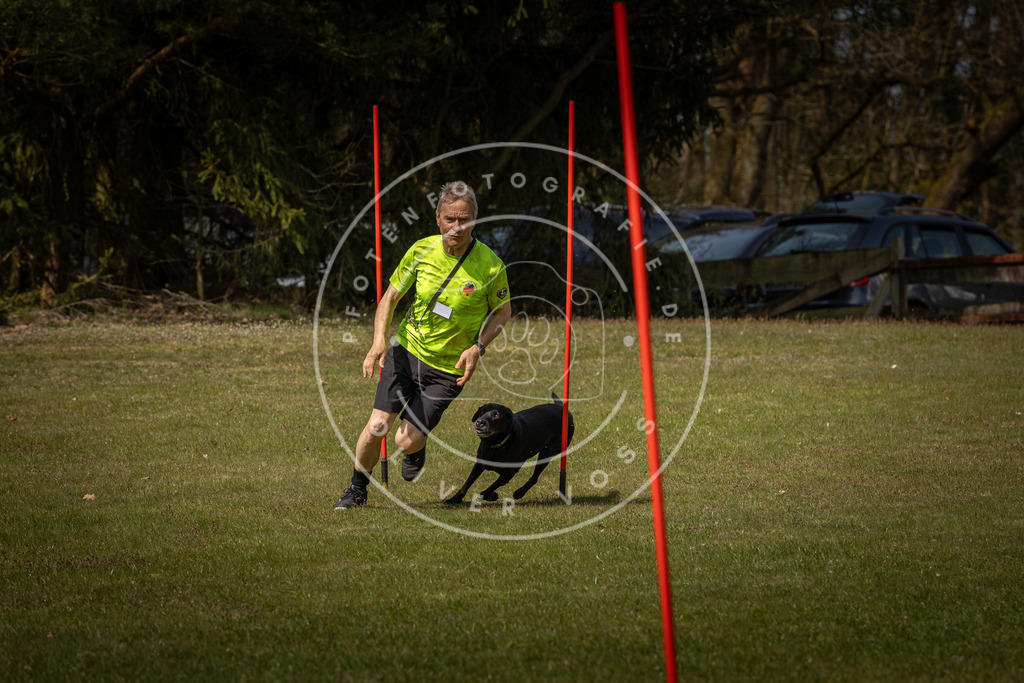Pfotenfotografie_DV3A4097 | Hundefotografie, Tierfotograf, Pfotenfotografie, Fotoshooting Hund, Hunde Portrait, Hundesport, Hundeportraits, Heideshooting, Hunde, Sportfotograf, Hundefotograf, Turnierhundsport, THS,  - Realisiert mit Pictrs.com