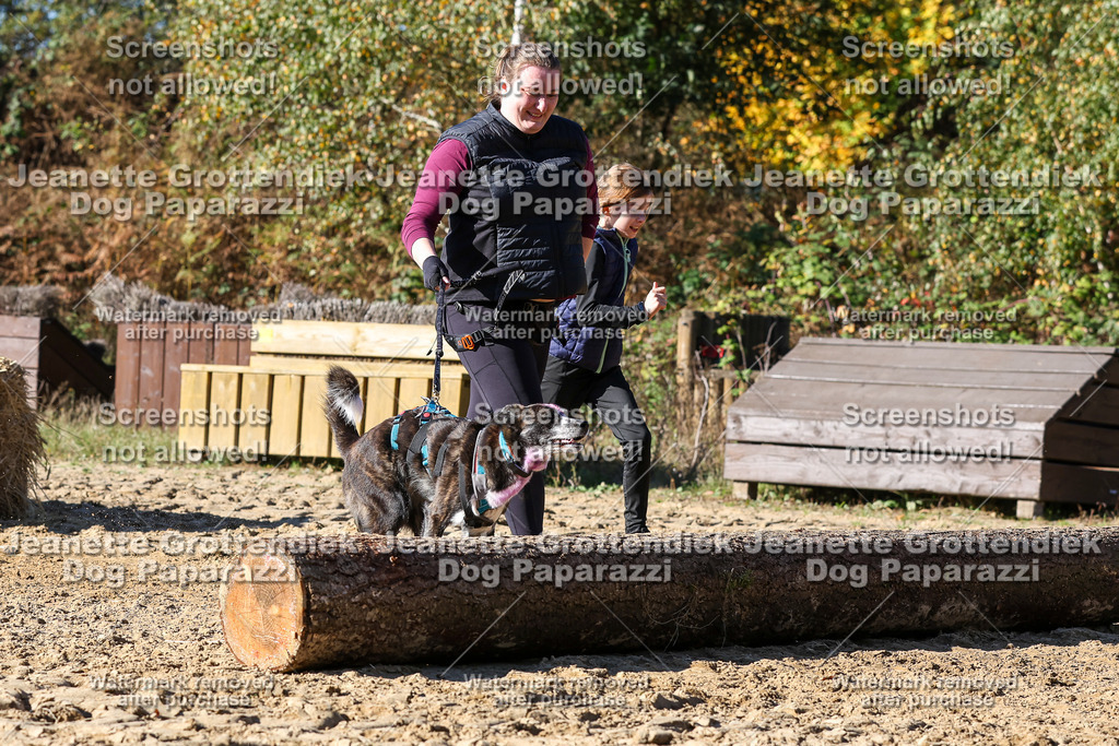 Dog Paparazzi - Strongdog 10-25-2841 | Dog Paparazzi Jeanette Grottendiek Fotografie & Videografie - Realisiert mit Pictrs.com