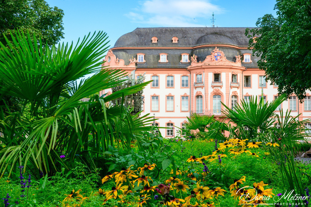 DSC_3965 | Fotografien, Fotos und Bilder aus Mainz, Frankfurt, Wiesbaden und anderen Orten auf der Welt - Fotografiert von Darius Metzner