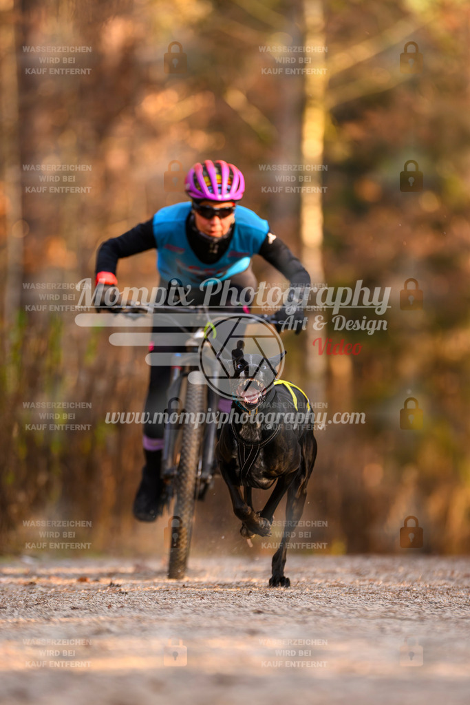 MompixPhotography_DM_AKDM_SO_2025_Bike-55 | PayLife