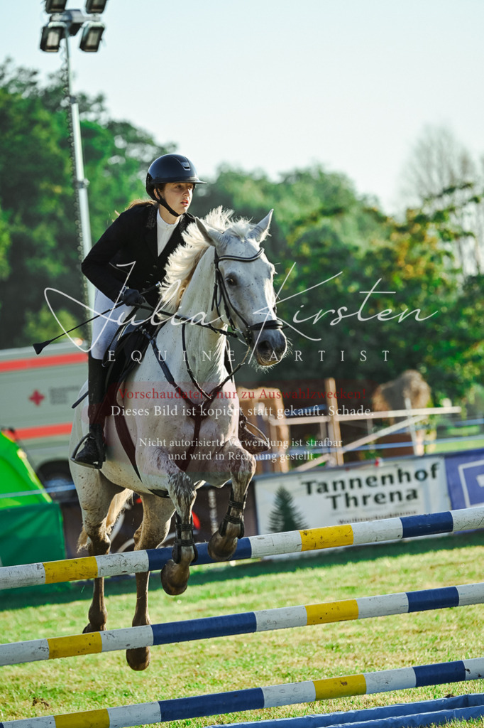 DSC_4044 | Pferde- und Turnierfotografie in Westsachsen. Pferdeportraits, Auftragszeichnungen und intuitive Kunst.