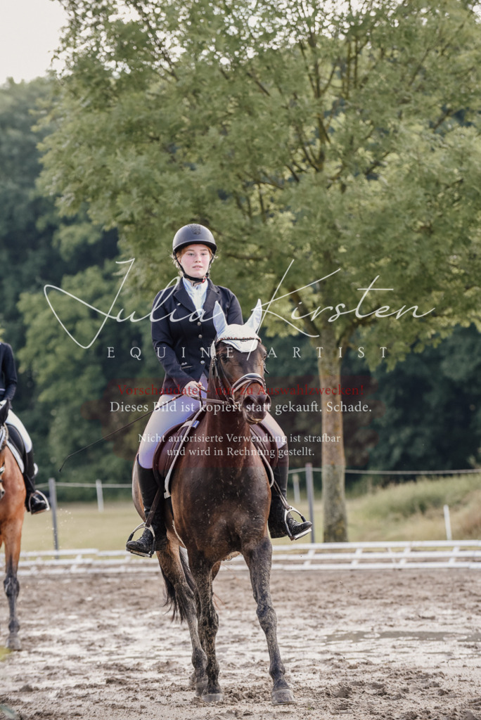 DSC_8150 | Pferde- und Turnierfotografie in Westsachsen. Pferdeportraits, Auftragszeichnungen und intuitive Kunst.