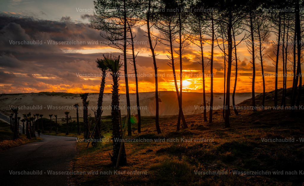 DSC01866-Enhanced-NR | marcuslinek