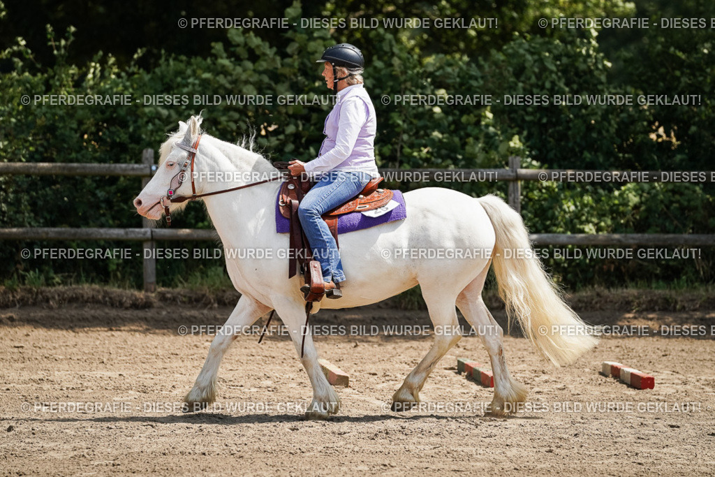 DSC07245 | Pferdegrafie