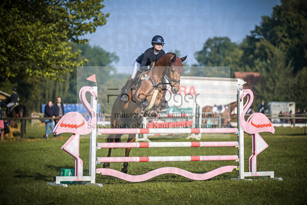DOS_0656 | Entdecke hochwertige Reitturnierfotos von Foto Oger. Professionell, emotional und authentisch – jetzt Lieblingsmomente im Shop bestellen.Deutschlandweite Turnierfotografie. - Realisiert mit Pictrs.com