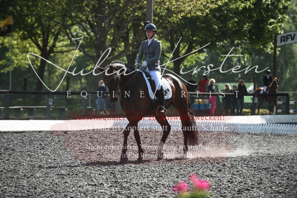 DSC_8943 | Pferde- und Turnierfotografie in Westsachsen. Pferdeportraits, Auftragszeichnungen und intuitive Kunst.