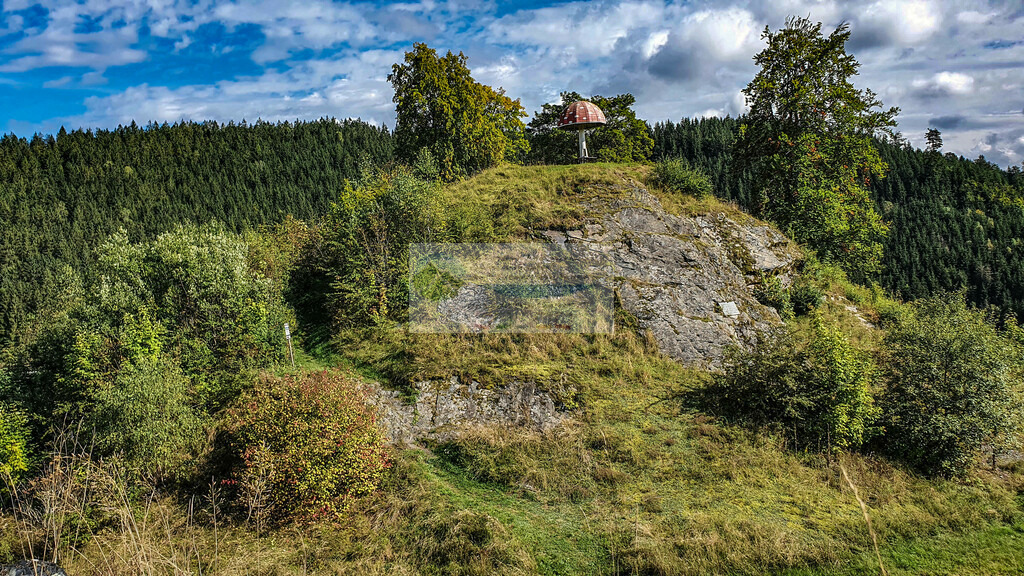 Wetterpilz Nordhalben im Sommer | Impressionen rund um Hochfranken - Frankenwald - Fichtelgebirge - Realisiert mit Pictrs.com
