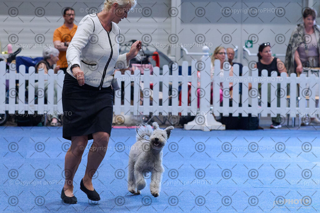 202406_ÖKV-IHA-Tulln24_DSC_3815 | proPHOTO - Realisiert mit Pictrs.com