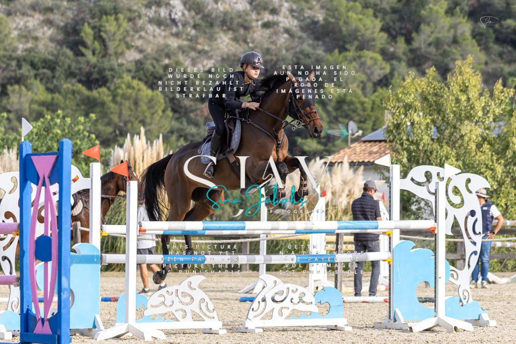 IMG_4675 | s-jay-photography - Realisiert mit Pictrs.com