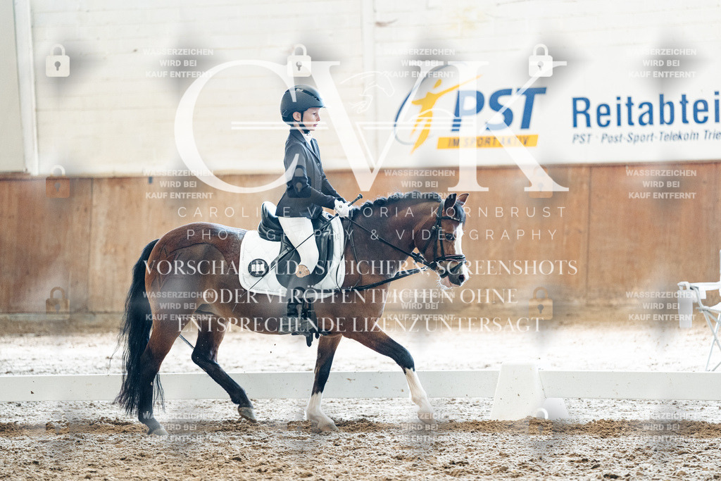 CK900399 | Turnierfotografie Pferdefotografie Trier Rheinland-Pfalz Pferdesport Reitsport Tierfotografie Sportfotografie Pferdevideo Pferdevideografie Equestrianvideography equestrianphotography  - Realisiert mit Pictrs.com