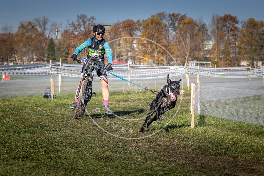 CaniXpix_0L8A4946 | Hundefotografie, Tierfotograf, Pfotenfotografie, Fotoshooting Hund, Hunde Portrait, Hundesport, Hundeportraits, Heideshooting, Hunde, Sportfotograf, Hundefotograf, Turnierhundsport, THS,  - Realisiert mit Pictrs.com