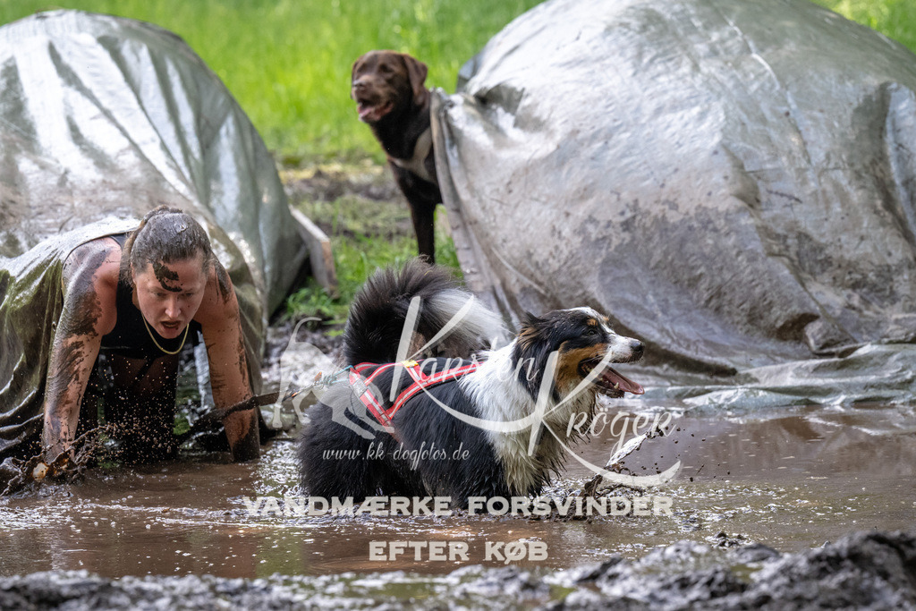 1238_ZZ92675 | kk-dogfotos