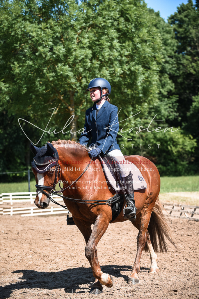 DSC_3561 | Pferde- und Turnierfotografie in Westsachsen. Pferdeportraits, Auftragszeichnungen und intuitive Kunst.