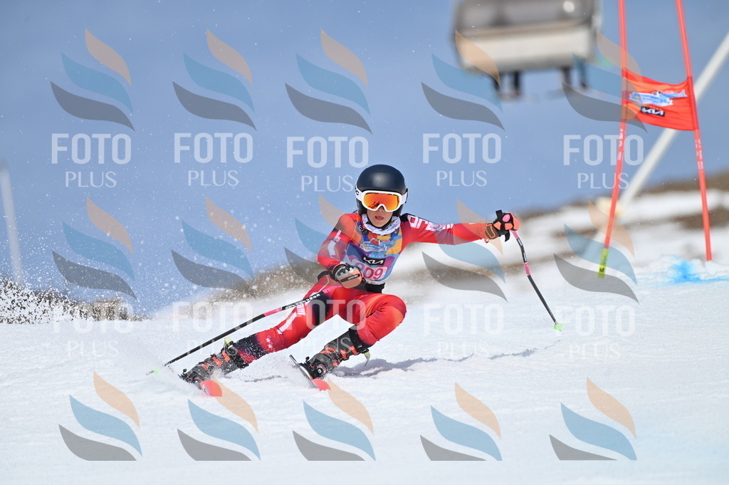 BGV_1120 | holidayphoto