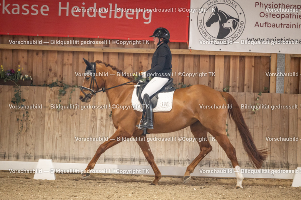 _D5A8414 | Emotionale Pferde- & People-Fotografie rund um Heidelberg, Leimen & Umgebung. Natürliche Fotos von Pferd, Mensch & Familie. Jetzt Termin sichern!