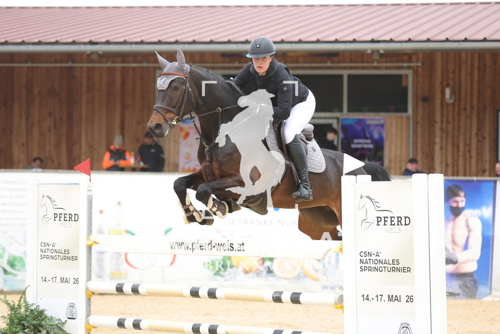 0P6A2049 | Willkommen bei Brunnmayr - Design & Fotografie – Ihrem Spezialisten für Reitturniere und Pferdeveranstaltungen in Oberösterreich, Salzburg und Bayern! Seit über 17 Jahren sind wir leidenschaftlich dabei.