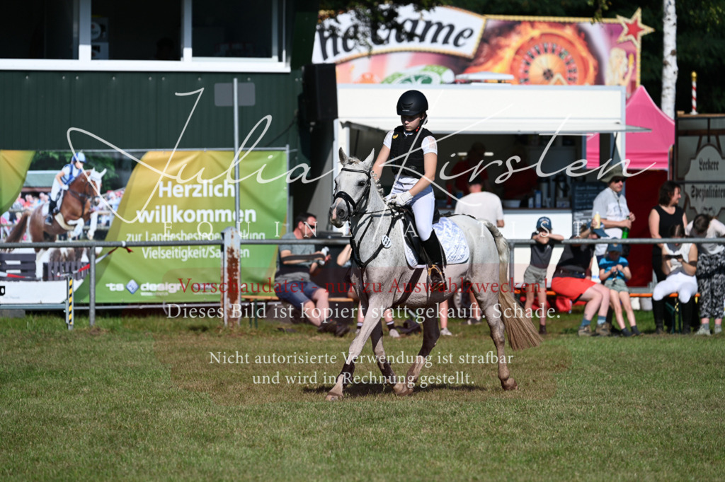 DSC_5258 | Pferde- und Turnierfotografie in Westsachsen. Pferdeportraits, Auftragszeichnungen und intuitive Kunst.