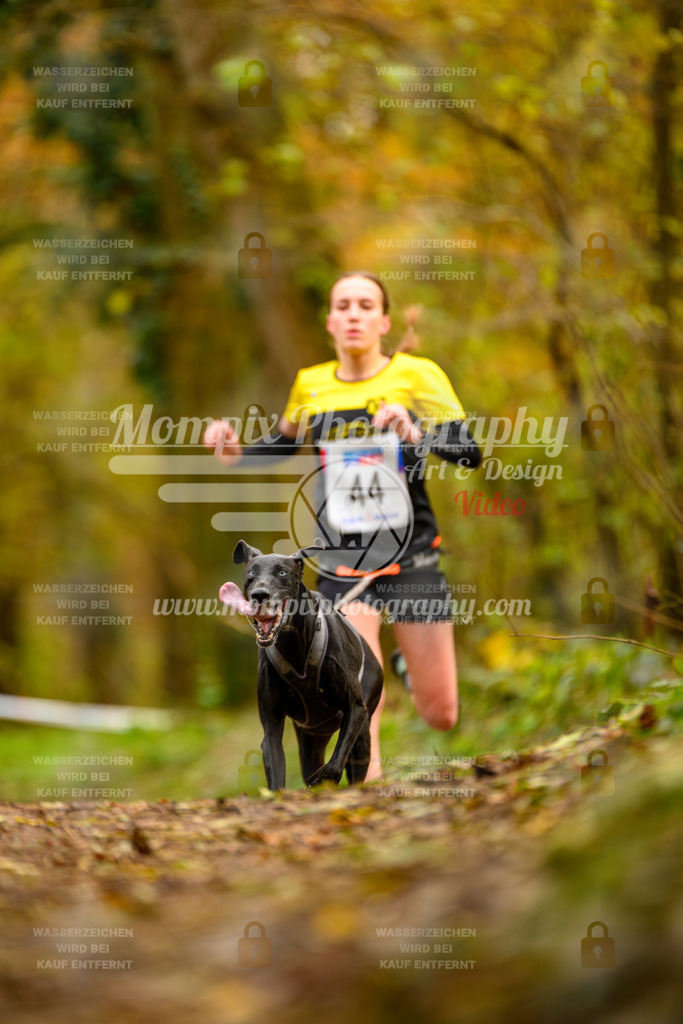 MompixPhotography_Bischwiller24_SA_Canicross-34 | PayLife