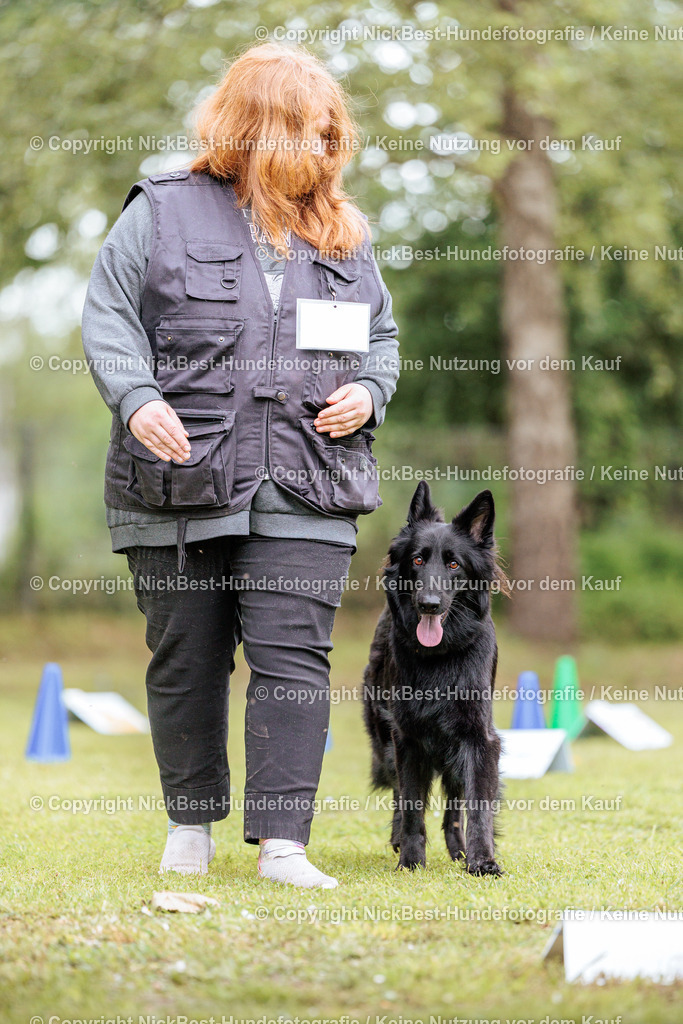 RO-Blumenthal-2026-Nickbest-Hundefotografie-3352 | Dein Hund! Dein Moment! Deine Erinnerungen! Hundefotografie in Bremen Blumenthal. Ich fange die besonderen Momente deines Vierbeiners ein – ob Indoor mit Blitzanlage oder in der freien Natur. Sicher dir dein Moment und dein Termin für eure Erinnerungen.