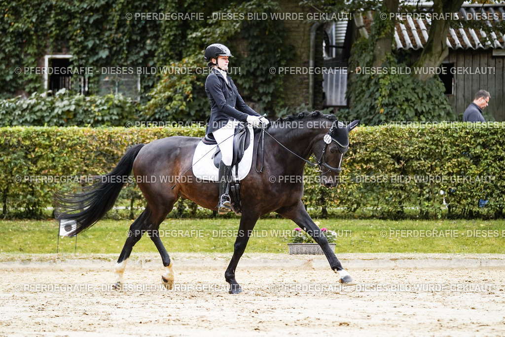 DSC07680 | Pferdegrafie