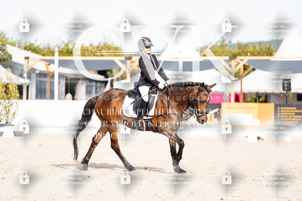 CK904804 | Turnierfotografie Pferdefotografie Trier Rheinland-Pfalz Pferdesport Reitsport Tierfotografie Sportfotografie Pferdevideo Pferdevideografie Equestrianvideography equestrianphotography  - Realisiert mit Pictrs.com