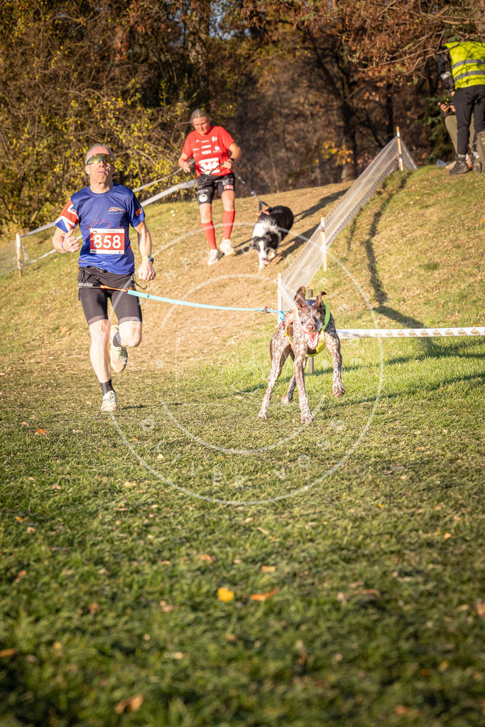 CaniXpix_0L8A0920 | Hundefotografie, Tierfotograf, Pfotenfotografie, Fotoshooting Hund, Hunde Portrait, Hundesport, Hundeportraits, Heideshooting, Hunde, Sportfotograf, Hundefotograf, Turnierhundsport, THS,  - Realisiert mit Pictrs.com