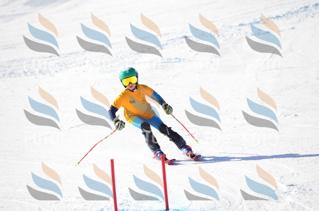 C6129 | holidayphoto