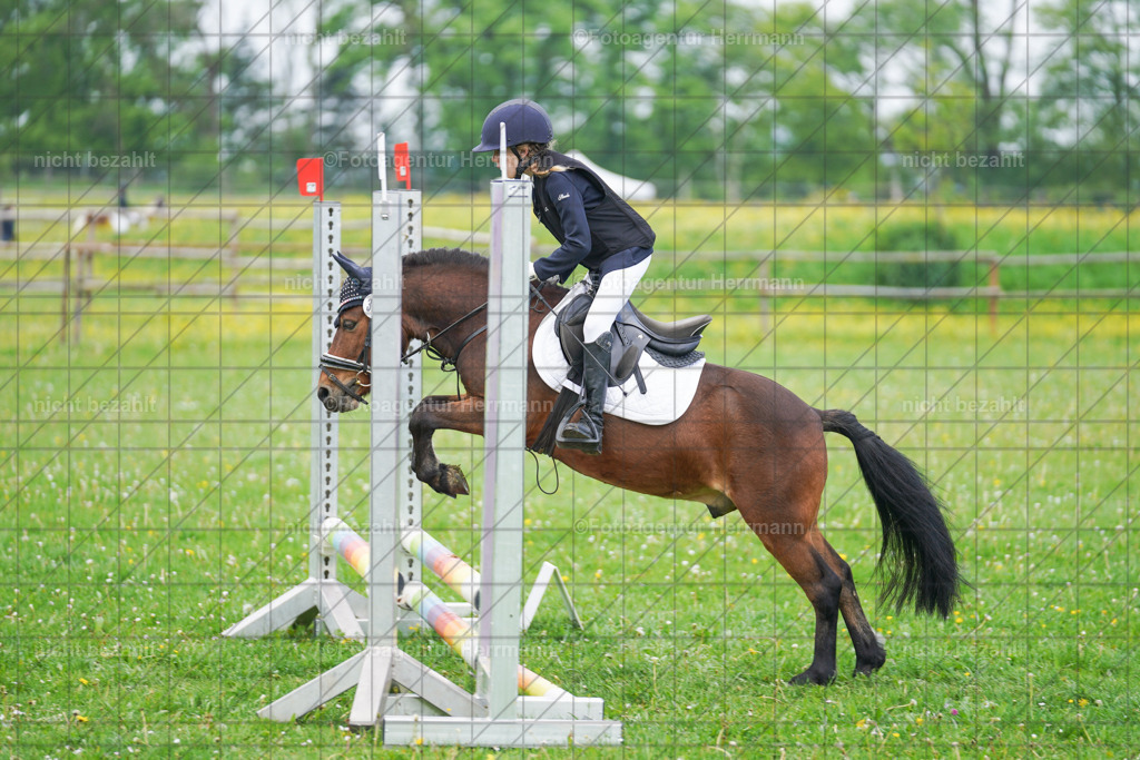 20240509-FAH02283 | Turnierbilder der Turnierfotografen Bayern, Pferdesport Fotografie, Reitsportbilder, Turnier Landberg am Lech, Turnierbilder bayern, Fotoagentur Herrmann