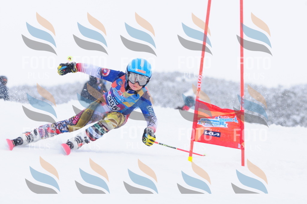 C4086 | holidayphoto