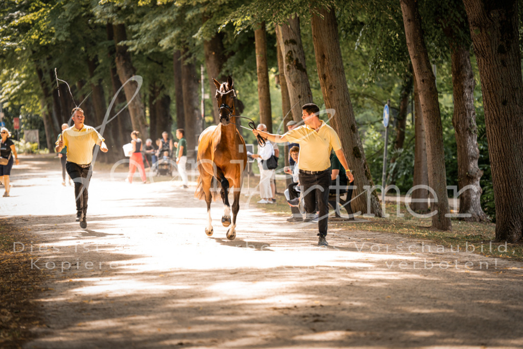 FrPfM00199 | Leoni Ertmer Photography - Realisiert mit Pictrs.com