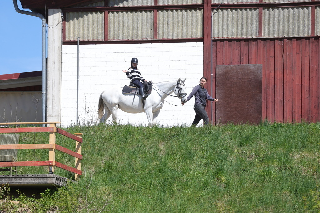 0P6A8794 | Willkommen bei Brunnmayr - Design & Fotografie – Ihrem Spezialisten für Reitturniere und Pferdeveranstaltungen in Oberösterreich, Salzburg und Bayern! Seit über 17 Jahren sind wir leidenschaftlich dabei.