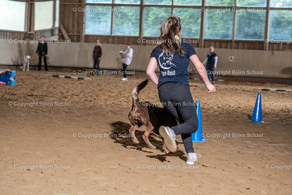 SBS04590 | BS-foto