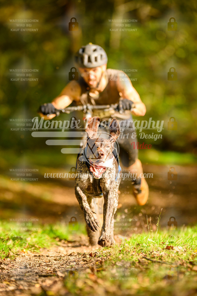 MompixPhotography_20TSB_E1_DS1-9 | PayLife