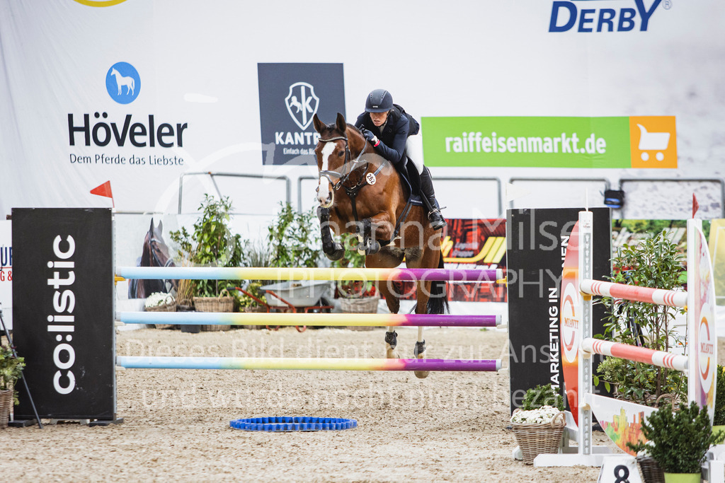 251031_OLD_M2-Spr-226 | Turnierfotos Oldenburg 2025 | Waldbach Amateur Tour - Qualifikation