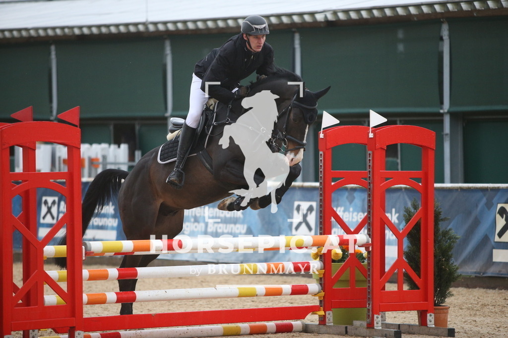 AS8V1565 | Willkommen bei Brunnmayr - Design & Fotografie – Ihrem Spezialisten für Reitturniere und Pferdeveranstaltungen in Oberösterreich, Salzburg und Bayern! Seit über 17 Jahren sind wir leidenschaftlich dabei.