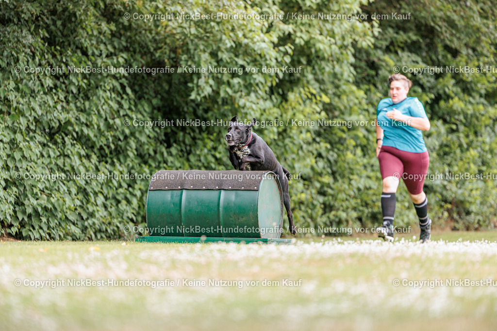 THS-Quakenbrück-2026-Nickbest-Hundefotografie-2343 | Dein Hund! Dein Moment! Deine Erinnerungen! Hundefotografie in Bremen Blumenthal. Ich fange die besonderen Momente deines Vierbeiners ein – ob Indoor mit Blitzanlage oder in der freien Natur. Sicher dir dein Moment und dein Termin für eure Erinnerungen.