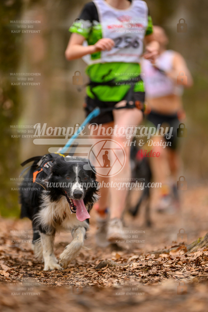 MompixPhotography_Habay2025_SA_CCC-32 | PayLife