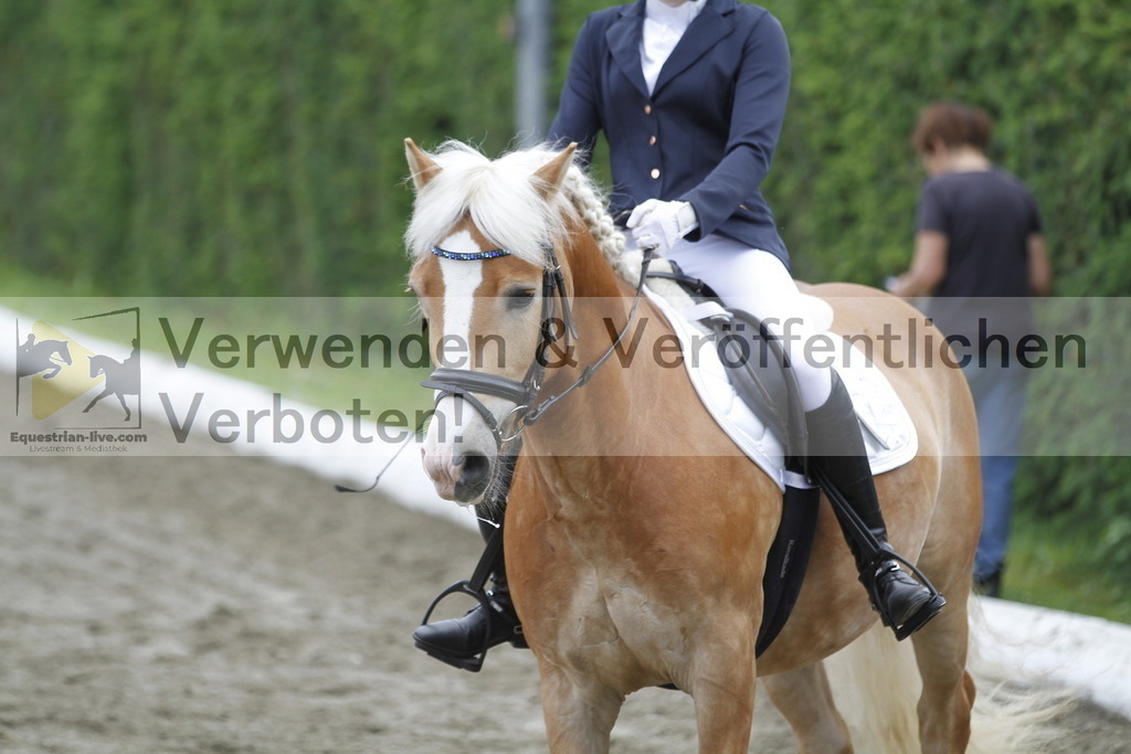 _MG_0885 | equestrian-live-com